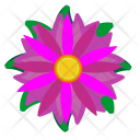 Astra Violet Color Icon