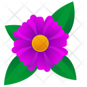 Astra Leaf Flower Icon