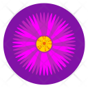 Pink Violet Flower Icon