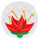 China Rose Red Icon