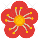 Chinese New Year Lunar Spring Festival Icon