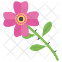 Dog Rose Flower Nature Icon