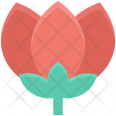 Flower Lotus Lily Icon