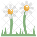Daisy Flower Nature Icon
