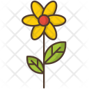 Flower Sunflower Sun Icon