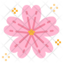 Flower Chinese Blossom Icon