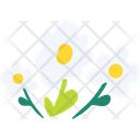 Flower Lilly Orchid Icon