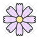 Flower Cosmos Daisy Icon