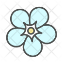 Flower Forget Me Icon