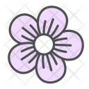 Flower Geranium Blossom Icon