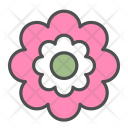 Flower Pink Blossom Icon