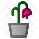 Flower Hot Summer Icon