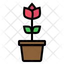 Flower Pot Nature Icon