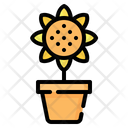 Flower Sunflower Pot Icon
