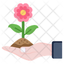 Flowering Plant Icon