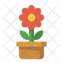 FlowerPot Icon
