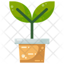 Flowerpot Plant Nature Icon