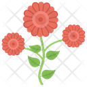 Flowers Nature Rose Icon