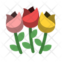 Flowers  Icon