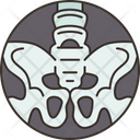Fluoroscopy  Icon