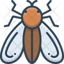 Fly Insects Mosquito Icon
