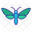 Moth Mole Bug Icon