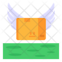 Flying Parcel Icon