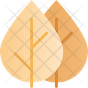 Foliage  Icon