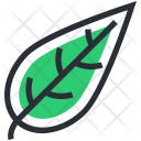Foliage Greenery Leaf Icon