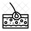 Folliculitis Skin  Icon