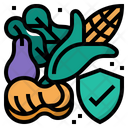 Food Safety Food Vegetable Icon