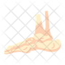 Foot Bones Skeleton Icon