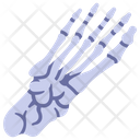 Foot bone Icon