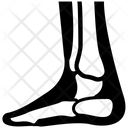 Foot Bone  Icon