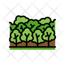 Forest Tree Jungle Icon