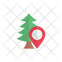 Forest Map Tree Icon