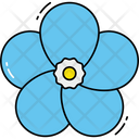 Forget Me Not Flower Icon