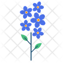 Forget Me Not Icon