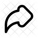 Forward  Icon