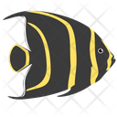 French Angelfish Sea Creature Animal Icon