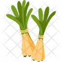 Fresh Green Spring Onions Bunch Icon
