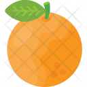 Orange Fresh Citric Icon
