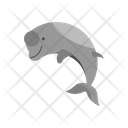 Freshwater Dolphin Unique Animal Icon
