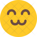 Friendly Emoji Smiley Icon