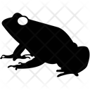 Frog  Icon
