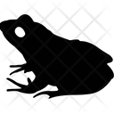 Frog  Icon
