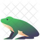 Frog  Icon