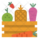 Fruit Food Vegetables Icon
