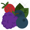 Berries Berry Blueberry Icon