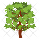 Fruit Tree Wild Tree Shrub Icon